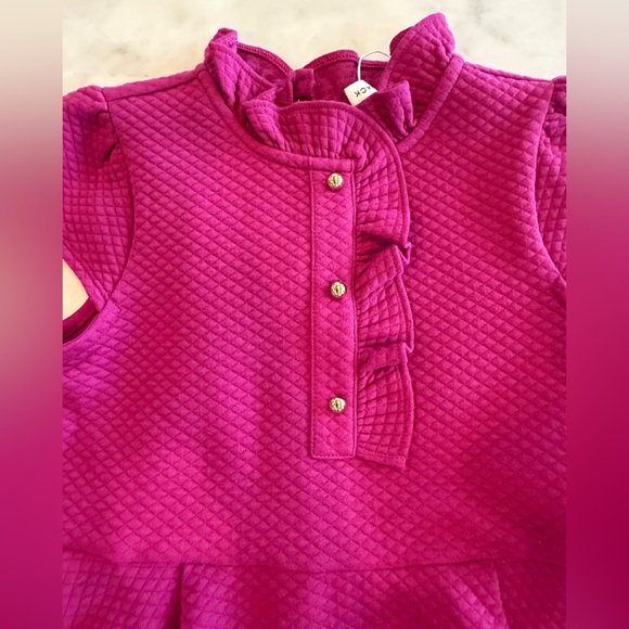 Janie and Jack Pink Fit and Flare Dress with Peter Pan Collar - Picture 2 of 4